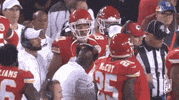 Regular Season Football GIF by NFL
