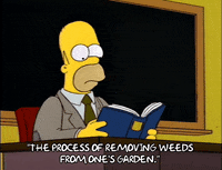 homer simpson episode 22 GIF