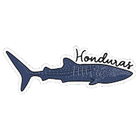 Hondurasnaturalmentetuya Sticker by Visit Honduras