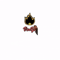 venya_technologies venya GIF