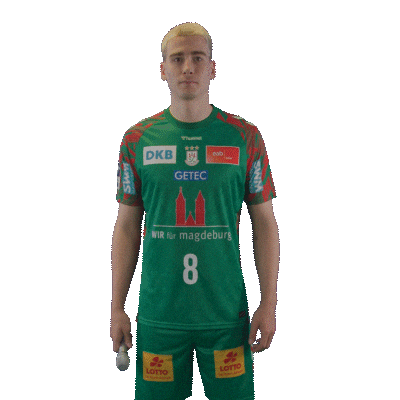 Handball Scm Sticker by DAIKIN HBL