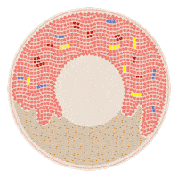 Donut Bdo Sticker by vfcsg