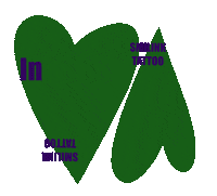 Tattoo Sticker by Smilink