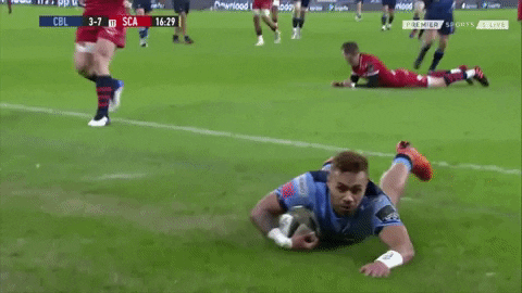 Wales Rugby Celebration GIF by Cardiff Blues