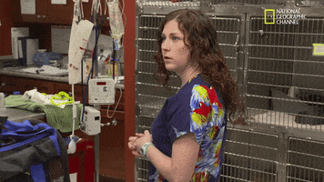 nat geo wild pets GIF by Dr. K's Exotic Animal ER