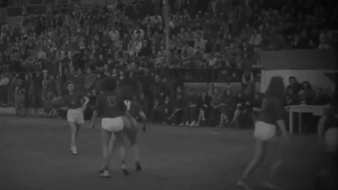 denisromantsov giphyupload GIF