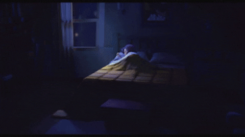 Come Here Emily Blunt GIF by The Animal Crackers Movie