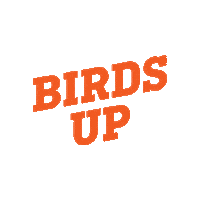 College Students Sticker by The University of Texas at San Antonio