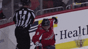celebrate ice hockey GIF by NHL