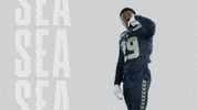 American Football GIF by Seattle Seahawks