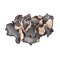 Mushroom Sticker