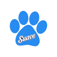Dog Scott Sticker by BCW Perú