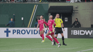 Celebrate Womens Soccer GIF by National Women's Soccer League