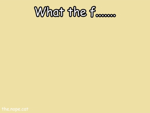 What The Wtf GIF