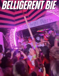 Party Summer GIF by Belligerent Bermuda
