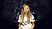 Action Florida GIF by USSSA Pride