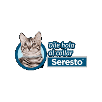 ElancoMexico cat gato pulga elanco Sticker