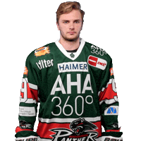 Hockey Del Sticker by Augsburger Panther Eishockey GmbH