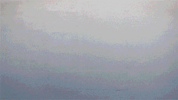 superorganism GIF by Domino Recording Co.