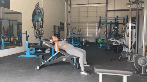 megsquats giphyupload GIF