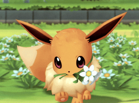 Frikadellenbrotchen giphyupload pokemon eevee pokémon GIF