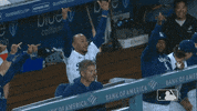 Celebrate Major League Baseball GIF by MLB