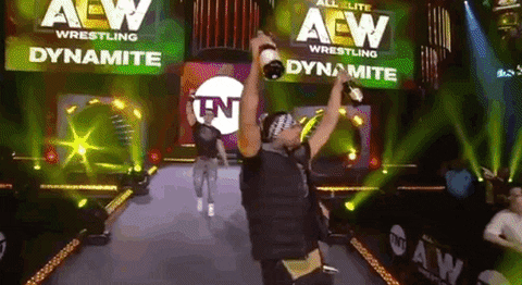 Chris Jericho ÄEw GIF by All Elite Wrestling on TNT