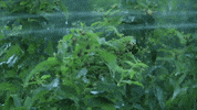 Scenic GIF by Originals