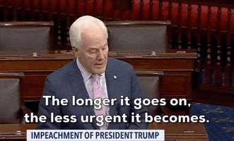 news impeachment john cornyn GIF