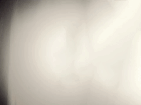 GIF by Miss Chá