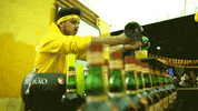 portugal festa GIF by Licor Beirão