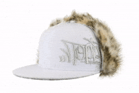 Dogearhat GIF by Toppaldn