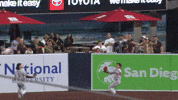 Arizona Diamondbacks Sport GIF by MLB