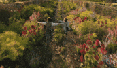 Run Running GIF by DeAPlaneta