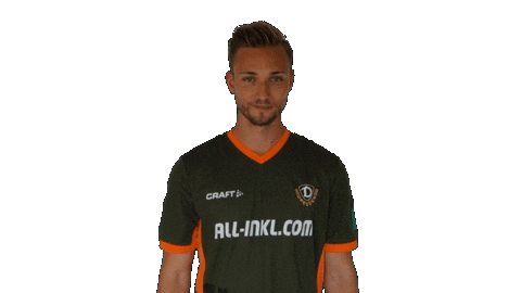 Logo Posing Sticker by SG Dynamo Dresden