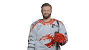 Trinec Sticker by HC Oceláři Třinec