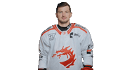 Trinec Sticker by HC Oceláři Třinec