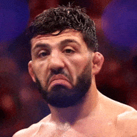 Ufc Fighter Sport GIF