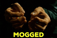 Pit Viper Cryptocurrency GIF by Binance.US