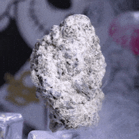 The 8Th Flower GIF by Exclusive Brands