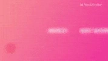 Logo Intro Animation Collection Creator 10