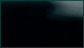 Philadelphia Eagles GIF