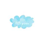 kimelise baby prince gender baby boy Sticker