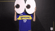 Meme Reaction GIF by Boston Uprising