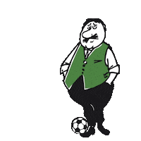 Football Goal Sticker by OÖNachrichten