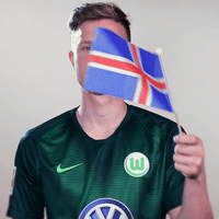 Yannick Gerhardt Football GIF by VfL Wolfsburg