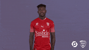 Nimes GIF by Nîmes Olympique