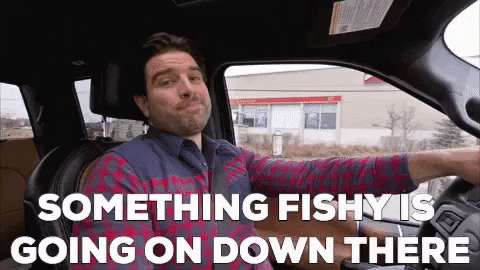 scott_mcgillivray  GIF
