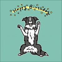 Dog Birthday GIF