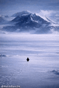 The Mountains Are Calling Human Spirit GIF